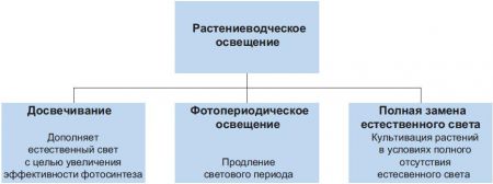 Освещение горшечных растений. Цвет света. Эксперимент с освещением